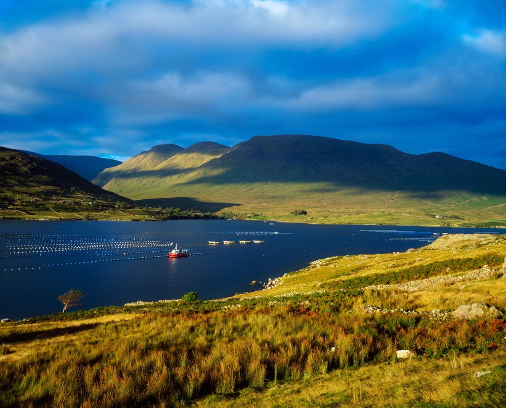 Killary Harbour Co Galway Ireland Fish Farm (Mussels) Canvas Art - The Irish Image Collection Design Pics (17 x 13)