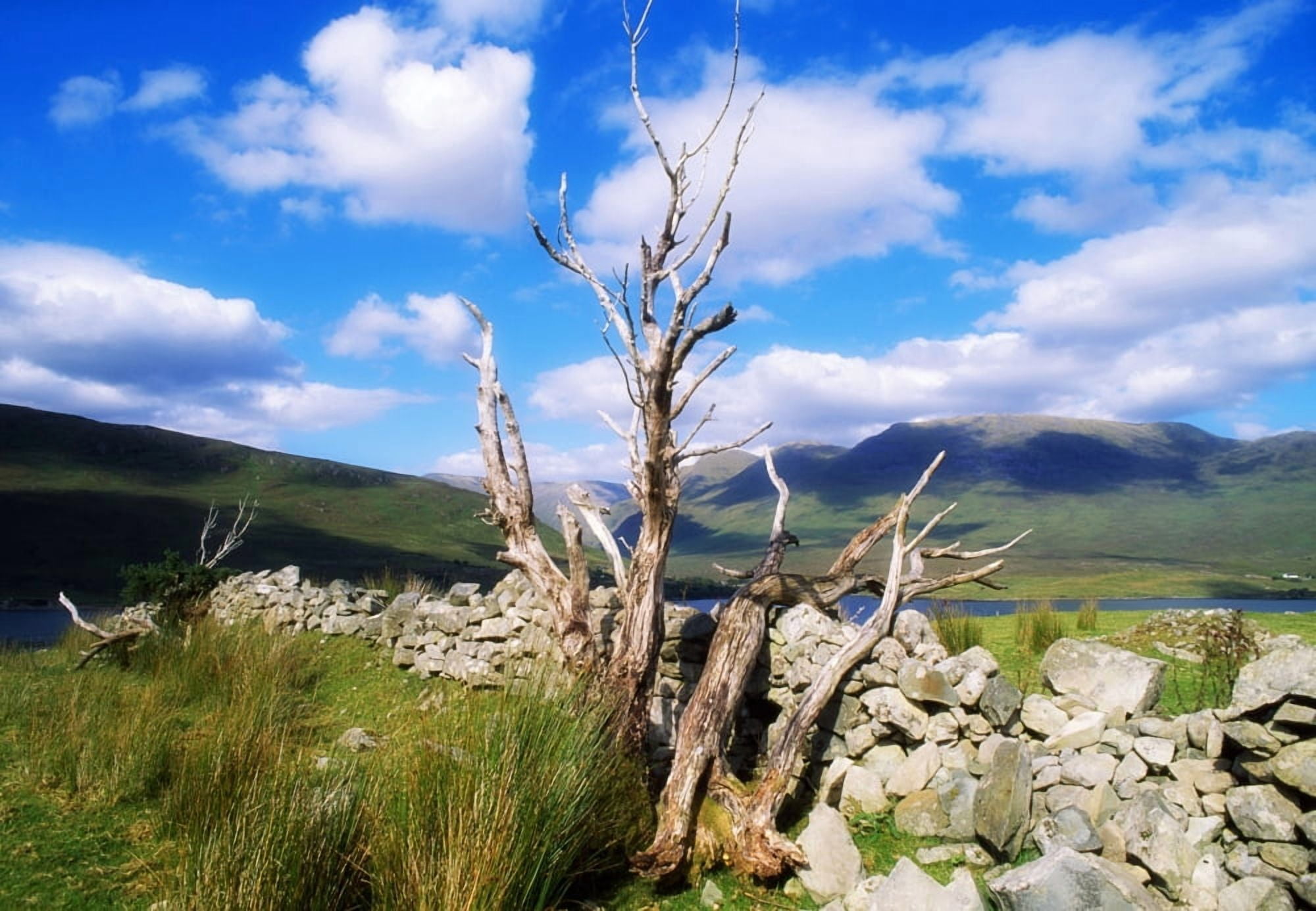 Killary Harbour Connemara Co Galway Ireland Irelands Only Fjord Canvas Art - The Irish Image Collection  Design Pics (18 x 12)