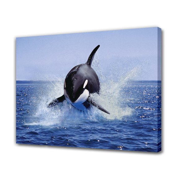Killer Whale Jump Canvas Poster Bedroom Decor Sports Landscape Office Room Decor Gift,Frame-style,16x24inch(40x60cm)