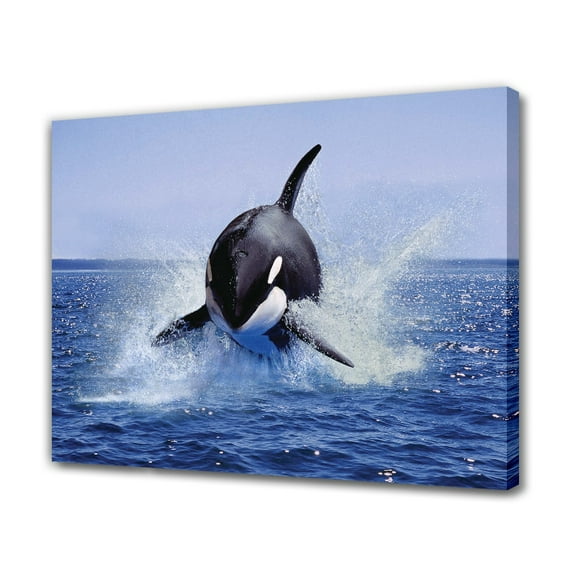 Killer Whale Jump Canvas Poster Bedroom Decor Sports Landscape Office Room Decor Gift,Frame-style,24x36inch(60x90cm)