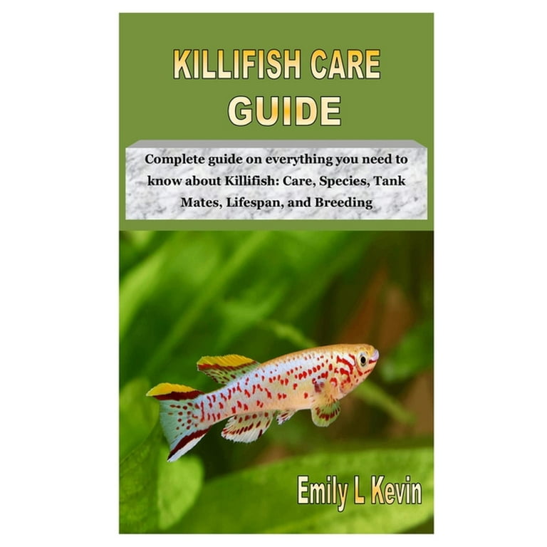 Everything You Need to Know About Killifish  