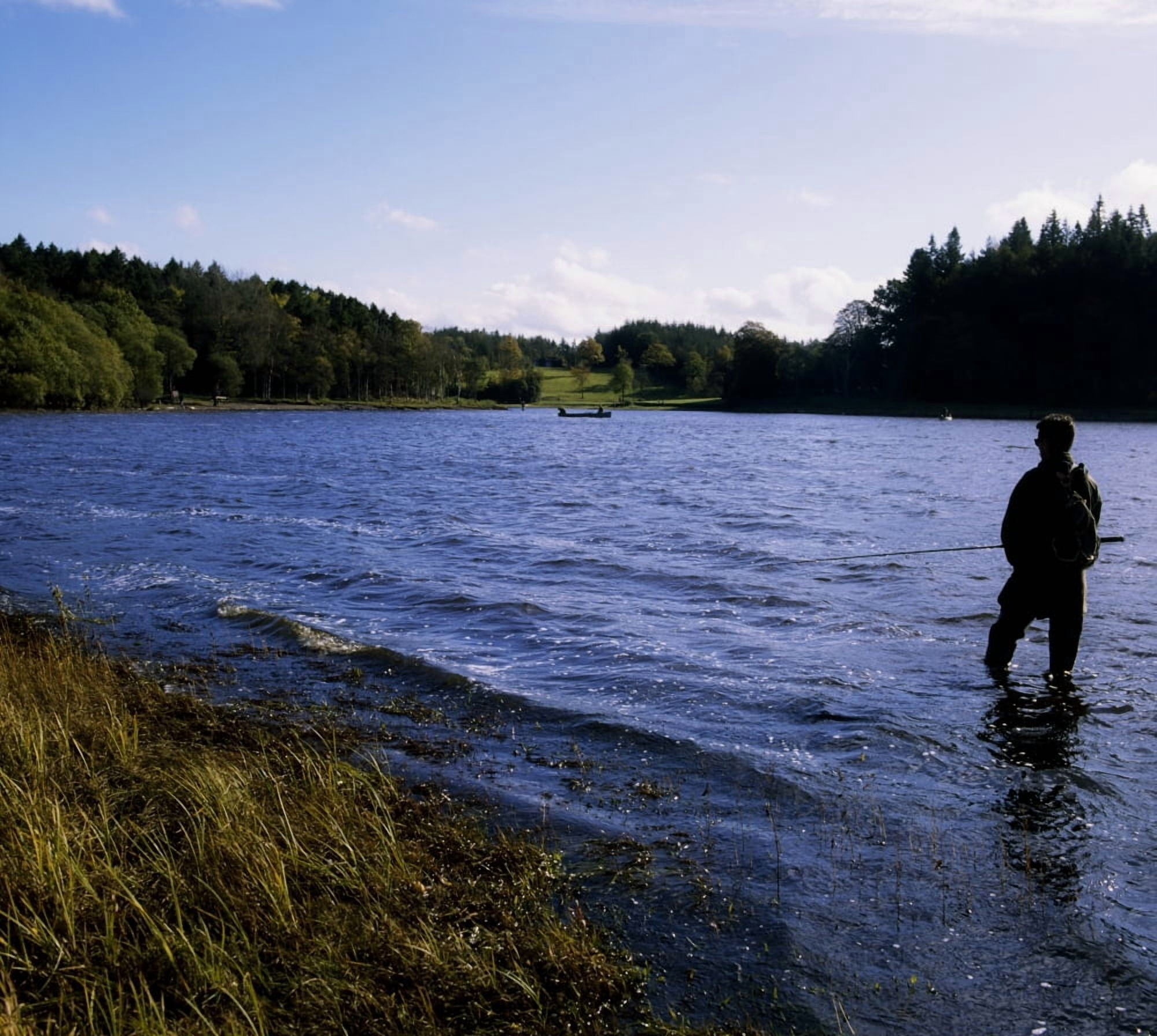 Killykeen Forest Park Co Cavan Ireland Man Fishing In Lough Oughter Canvas Art - The Irish Image Collection Design Pics (32 x 28)