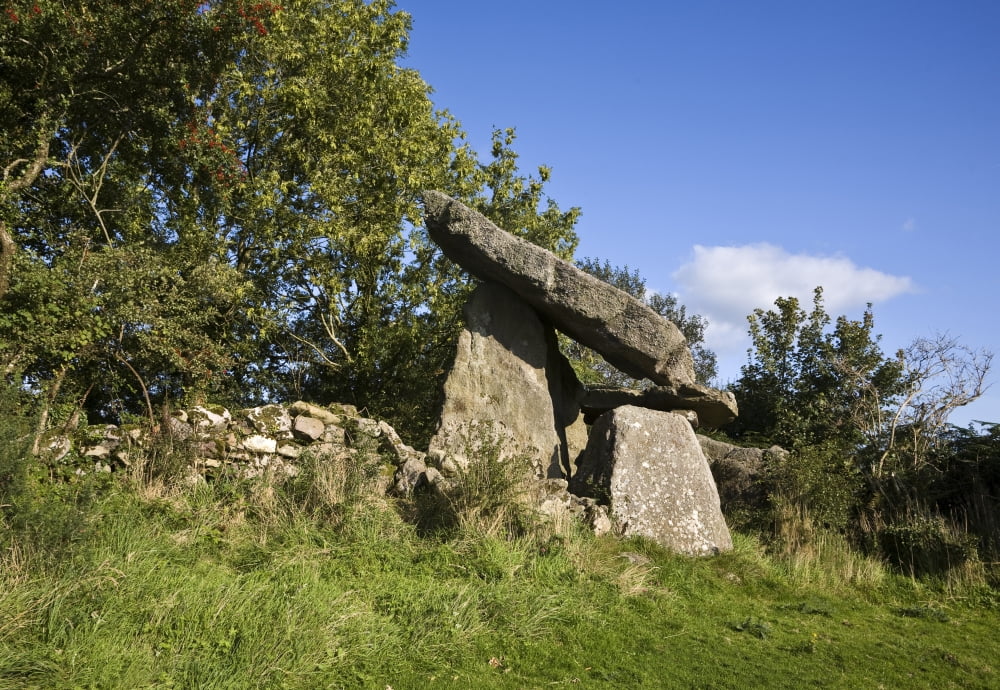 Kilmogue Megalithic Tomb Harristown County Kilkenny Ireland Canvas Art - Panoramic Images (19 x 27)