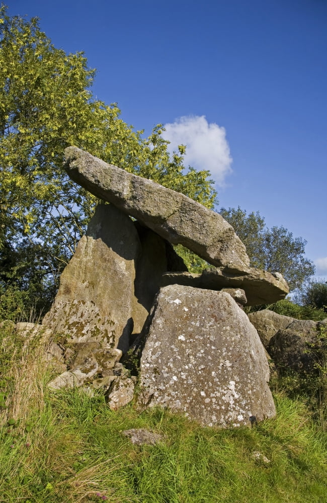 Kilmogue Megalithic Tomb Harristown County Kilkenny Ireland Canvas Art - Panoramic Images (36 x 12)