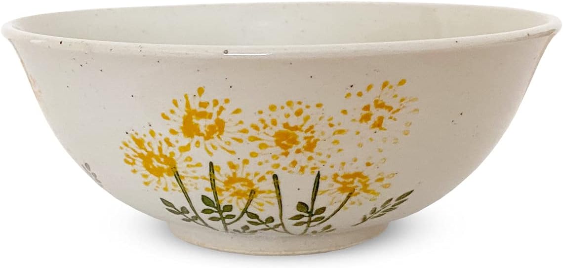 Kiln Ramen Donburi Bowl, 27.5 fl oz (775 cc), Hasami Yaki, Made in