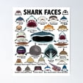 thumbnail image 1 of Kiloa Shark Identification Educational Chart Poster, 12x18 UNFRAMED, 1 of 3