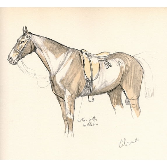 Kilrue, Horse Belonging To Lord Lonsdale Poster Print By Mary Evans Picture Library (24 X 18)