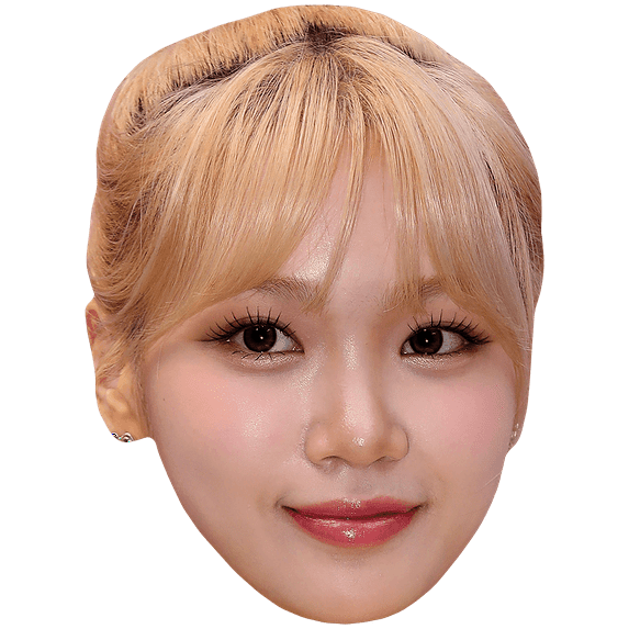 Kim Chae-Won (Hair Up) Celebrity Mask, Flat Card Face, Fancy Dress Mask