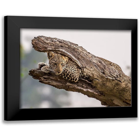 Kim, Eunice 14x11 Black Modern Framed Museum Art Print Titled - Hide And Seek
