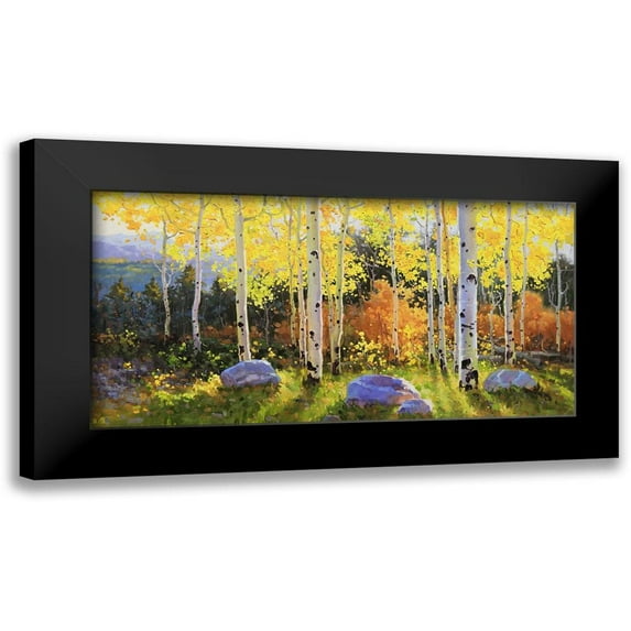 Kim, Gary 18x11 Black Modern Framed Museum Art Print Titled - Horizontal of Aspen Vista Sunset