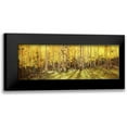 thumbnail image 1 of Kim, Gary 24x11 Black Modern Framed Museum Art Print Titled - Aspen Panorama, 1 of 5