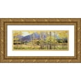 thumbnail image 1 of Kim, Gary 32x13 Gold Ornate Wood Framed with Double Matting Museum Art Print Titled - Aspen Beauty, 1 of 4