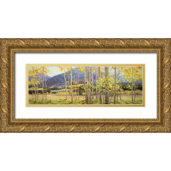 Kim, Gary 32x13 Gold Ornate Wood Framed with Double Matting Museum Art Print Titled - Aspen Beauty