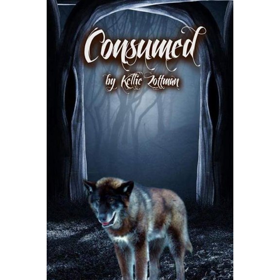 Kim McConnor: Consumed : Consumed (Series #1) (Paperback)