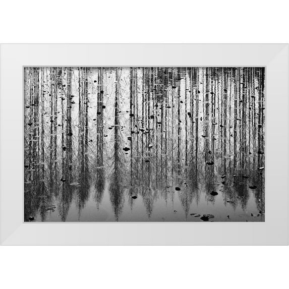 Kim, Youngil 24x17 White Modern Wood Framed Museum Art Print Titled - tall reflection