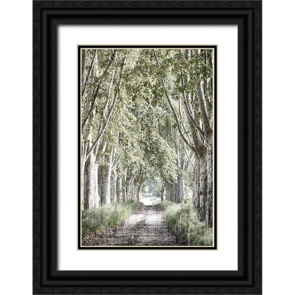 Kimberly, Allen 11x14 Black Ornate Wood Framed with Double Matting Museum Art Print Titled - Covered Path