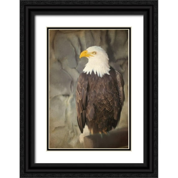 Kimberly, Allen 11x14 Black Ornate Wood Framed with Double Matting Museum Art Print Titled - Perched