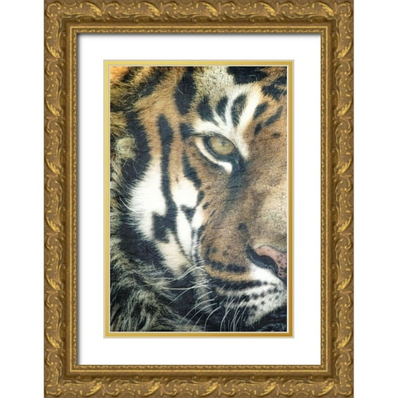 Kimberly, Allen 11x14 Gold Ornate Wood Framed with Double Matting Museum Art Print Titled - Focus A