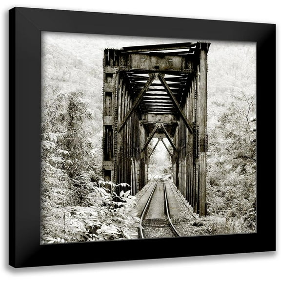 Kimberly, Allen 12x12 Black Modern Framed Museum Art Print Titled - Along the Tracks 1