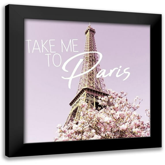 Kimberly, Allen 12x12 Black Modern Framed Museum Art Print Titled - Blossoms Paris 2