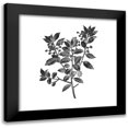 thumbnail image 1 of Kimberly, Allen 12x12 Black Modern Framed Museum Art Print Titled - Botanical Black 2, 1 of 5