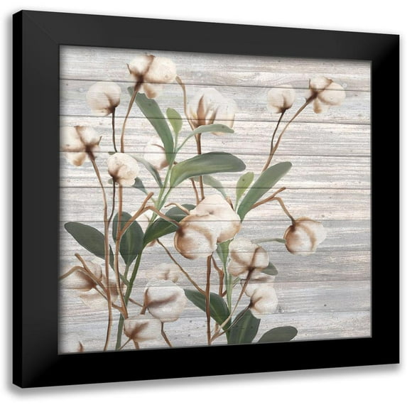 Kimberly, Allen 12x12 Black Modern Framed Museum Art Print Titled - Cotton Days 4
