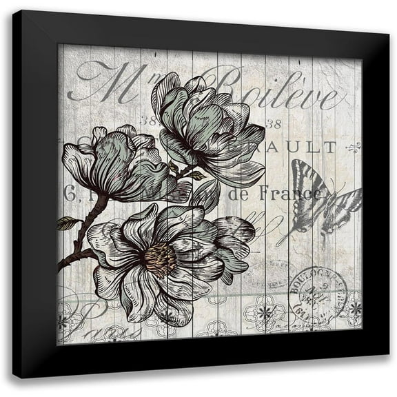 Kimberly, Allen 12x12 Black Modern Framed Museum Art Print Titled - Country Magnolia 2