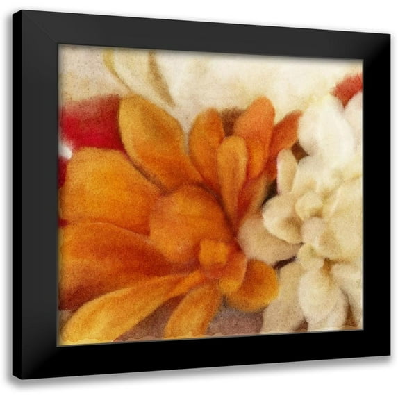 Kimberly, Allen 12x12 Black Modern Framed Museum Art Print Titled - Full Bloom 1