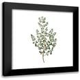 thumbnail image 1 of Kimberly, Allen 12x12 Black Modern Framed Museum Art Print Titled - Herbs square 2, 1 of 5
