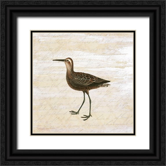 Kimberly, Allen 12x12 Black Ornate Wood Framed with Double Matting Museum Art Print Titled - Shore Birds 2