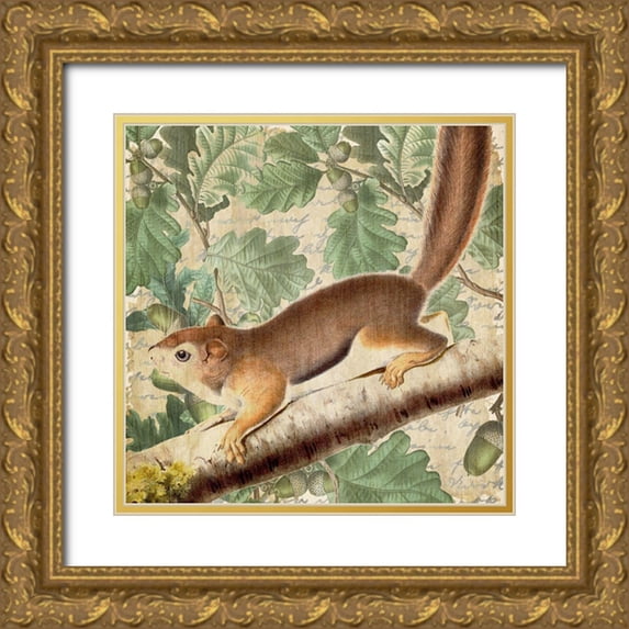 Kimberly, Allen 12x12 Gold Ornate Wood Framed with Double Matting Museum Art Print Titled - Chipmunk Square 2