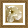 thumbnail image 1 of Kimberly, Allen 12x12 Gold Ornate Wood Framed with Double Matting Museum Art Print Titled - Magnolia Bloom, 1 of 4