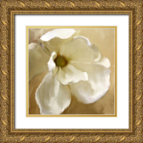 Kimberly, Allen 12x12 Gold Ornate Wood Framed with Double Matting Museum Art Print Titled - Magnolia Bloom