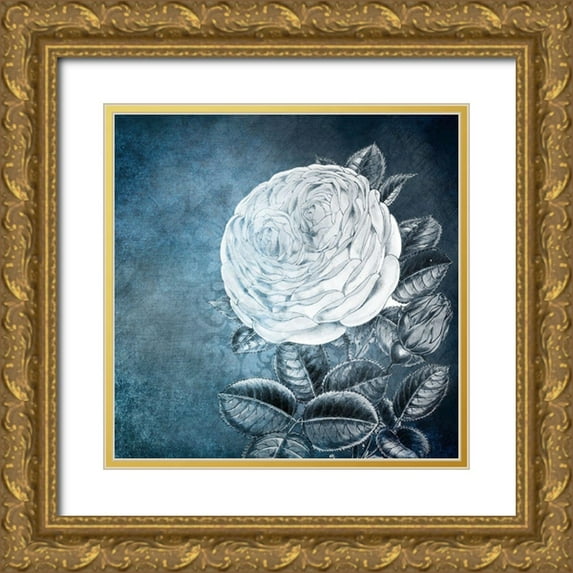 Kimberly, Allen 12x12 Gold Ornate Wood Framed with Double Matting Museum Art Print Titled - White Bloom 2