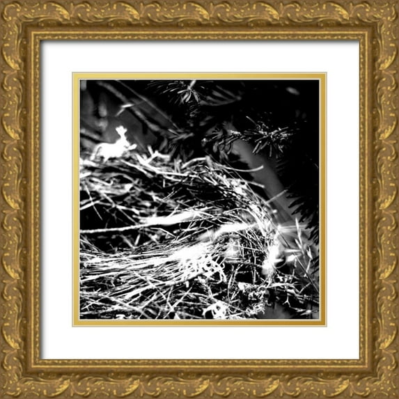 Kimberly, Allen 12x12 Gold Ornate Wood Framed with Double Matting Museum Art Print Titled - White Nest 2