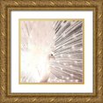 thumbnail image 1 of Kimberly, Allen 12x12 Gold Ornate Wood Framed with Double Matting Museum Art Print Titled - White Peacock, 1 of 4
