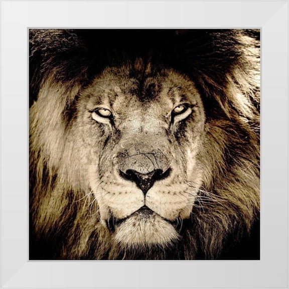 Kimberly, Allen 12x12 White Modern Wood Framed Museum Art Print Titled - Gaze