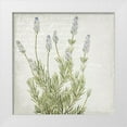 thumbnail image 1 of Kimberly, Allen 12x12 White Modern Wood Framed Museum Art Print Titled - Lavender 1, 1 of 4
