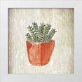 thumbnail image 1 of Kimberly, Allen 12x12 White Modern Wood Framed Museum Art Print Titled - Spring Cactus 2, 1 of 4