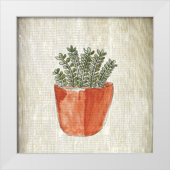 Kimberly, Allen 12x12 White Modern Wood Framed Museum Art Print Titled - Spring Cactus 2