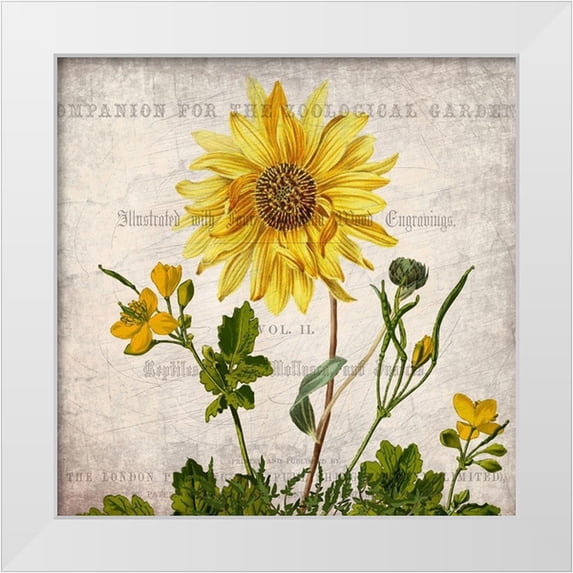 Kimberly, Allen 12x12 White Modern Wood Framed Museum Art Print Titled - Vintage Floral 2