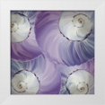 thumbnail image 1 of Kimberly, Allen 12x12 White Modern Wood Framed Museum Art Print Titled - Violet Shell 1, 1 of 4