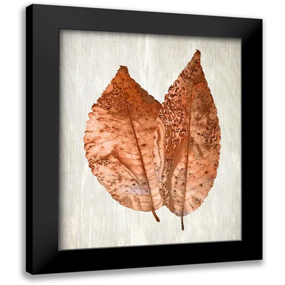Kimberly, Allen 12x14 Black Modern Framed Museum Art Print Titled - Copper Leaves 2