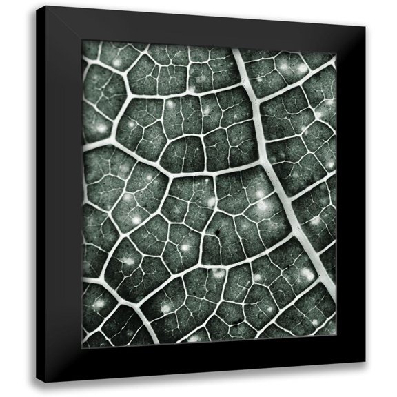 Kimberly, Allen 12x14 Black Modern Framed Museum Art Print Titled - Eco 2