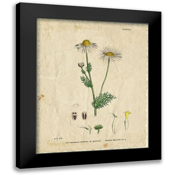 Kimberly, Allen 12x14 Black Modern Framed Museum Art Print Titled - Mayweed 1