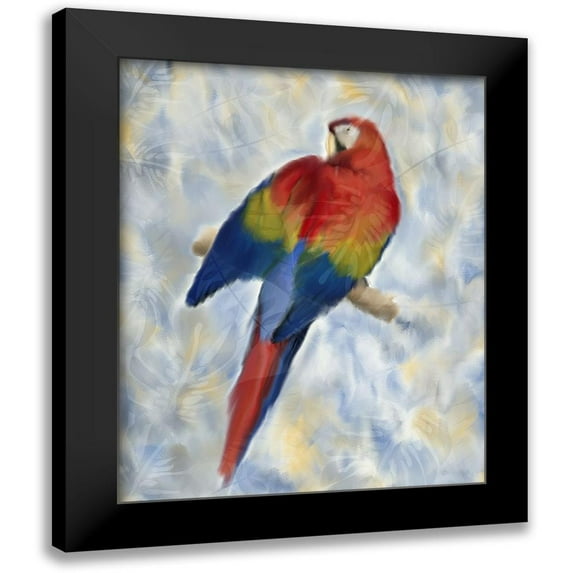 Kimberly, Allen 12x14 Black Modern Framed Museum Art Print Titled - Parrot 2