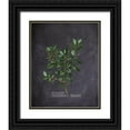 thumbnail image 1 of Kimberly, Allen 12x14 Black Ornate Wood Framed with Double Matting Museum Art Print Titled - Blackboard Botanical 2, 1 of 4