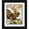 thumbnail image 1 of Kimberly, Allen 12x14 Black Ornate Wood Framed with Double Matting Museum Art Print Titled - Butterfly World 2, 1 of 4