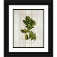 thumbnail image 1 of Kimberly, Allen 12x14 Black Ornate Wood Framed with Double Matting Museum Art Print Titled - Fall Botanical 1, 1 of 4