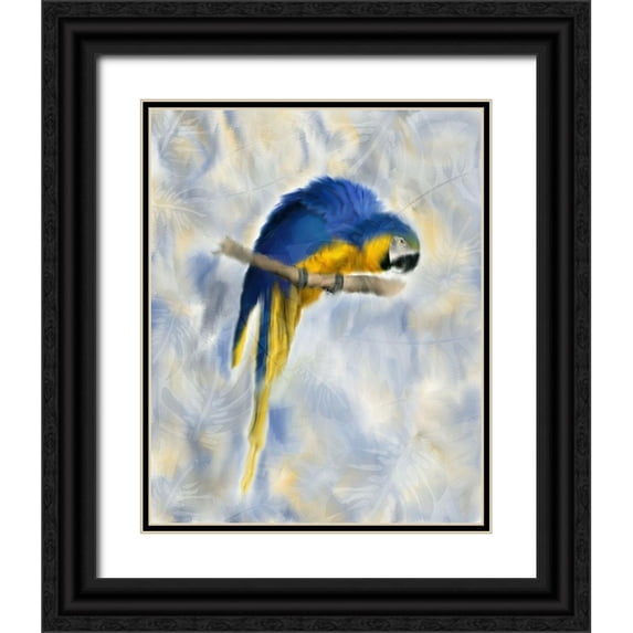 Kimberly, Allen 12x14 Black Ornate Wood Framed with Double Matting Museum Art Print Titled - Parrot 1